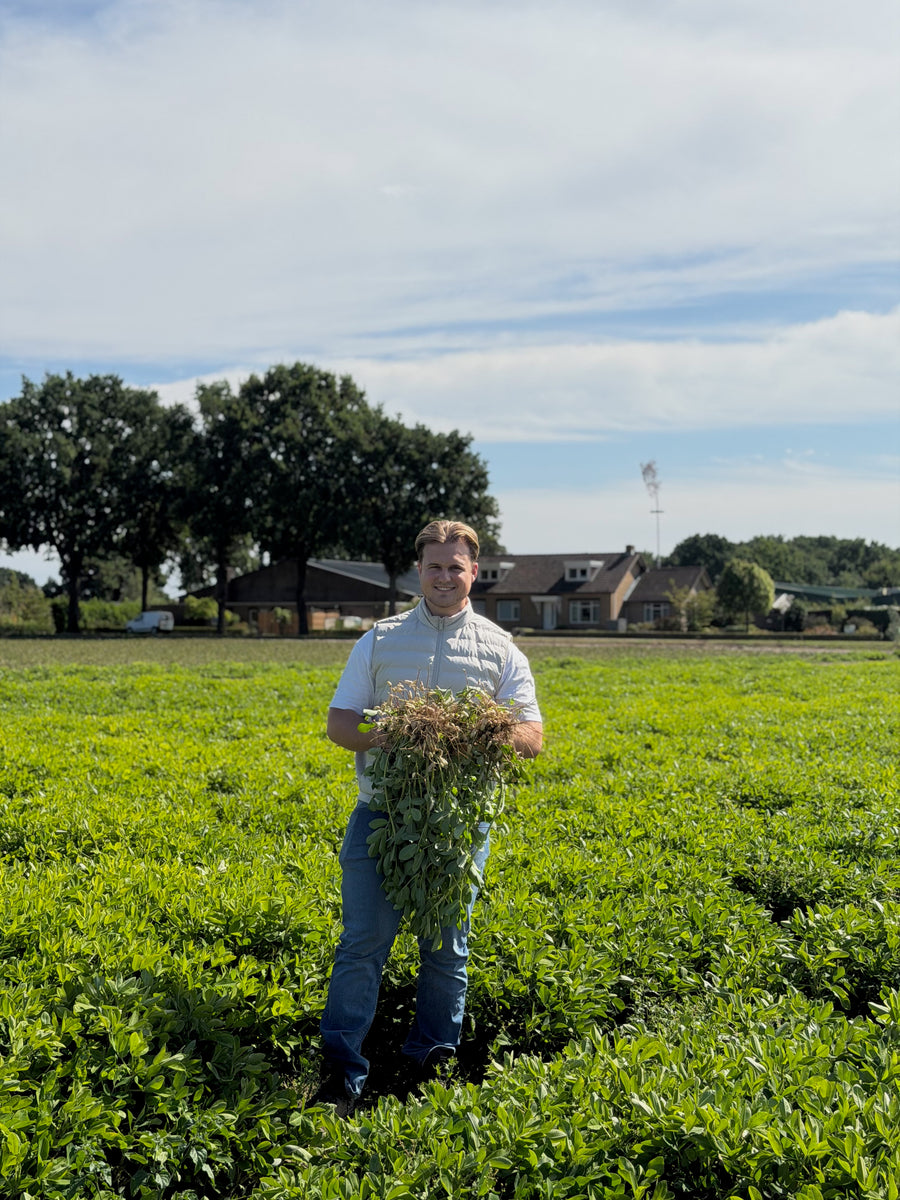 Het veld in Kessel vandaag